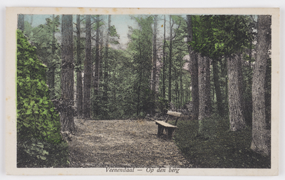 18238 Afbeelding van een bankje in het Prattenburgse Bos bij Veenendaal.